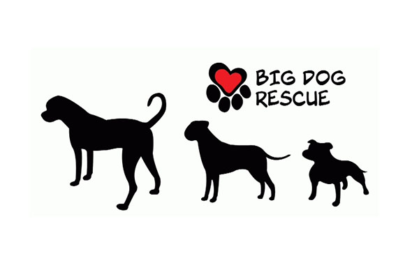 Big Dog Rescue Logo